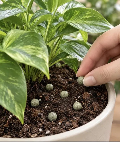 Fertilizante Basacote Plus 6m 250 Gramos Para 6 Meses