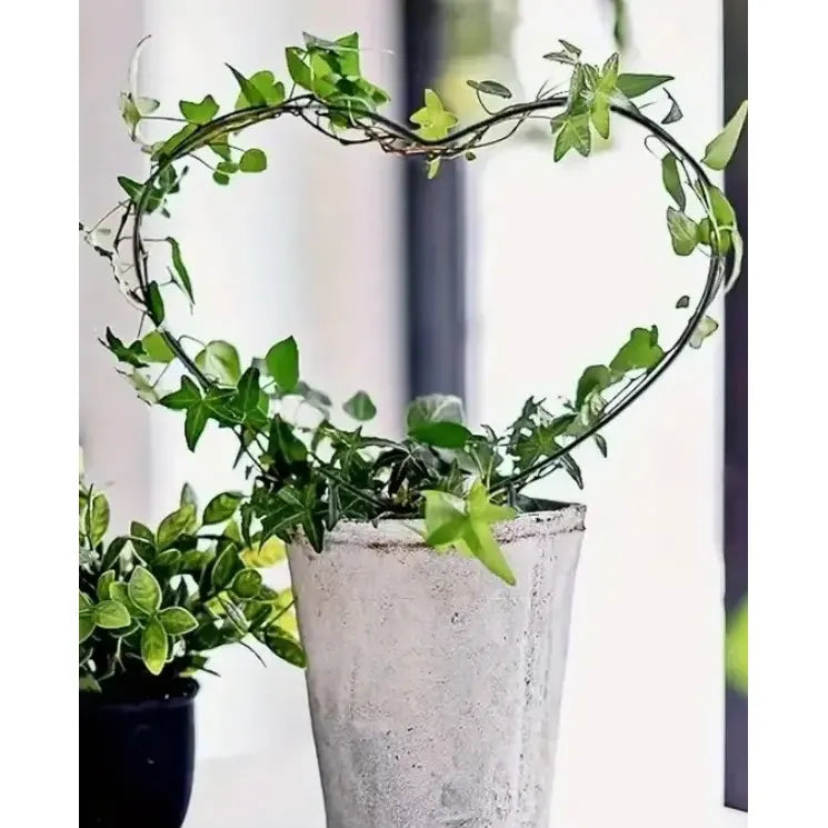 Soporte Para Plantas Forma De Corazón 1 Unidad - Gris - Corazón