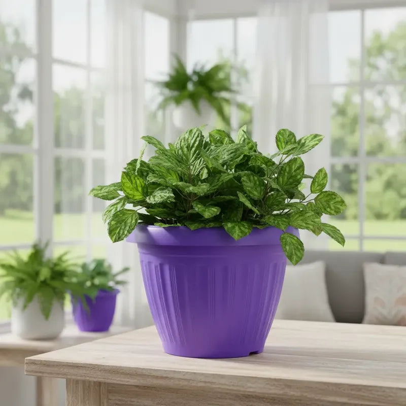 Macetero Plastico Colonial 20cm Diámetro Violeta Violeta Colonial