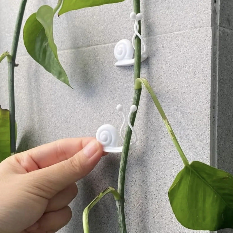Soporte Para Plantas Forma De Caracol 10 Unidades Verde Lisa