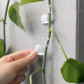 Soporte Para Plantas Forma De Caracol 10 Unidades Verde Lisa
