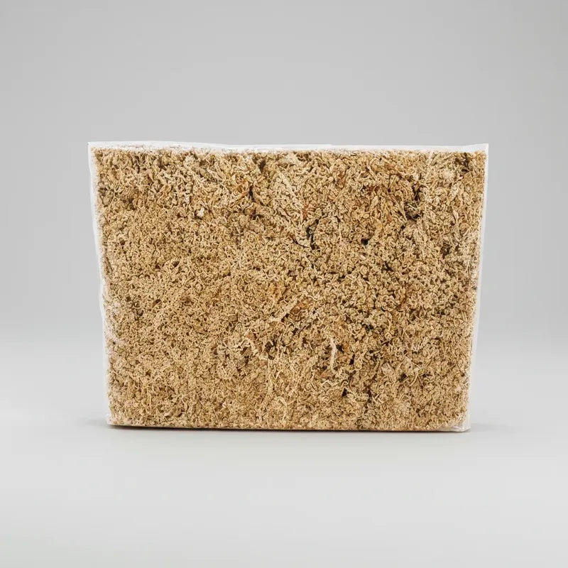 Bloque Musgo Sphagnum Deshidratado 1kg Rinde 80litros