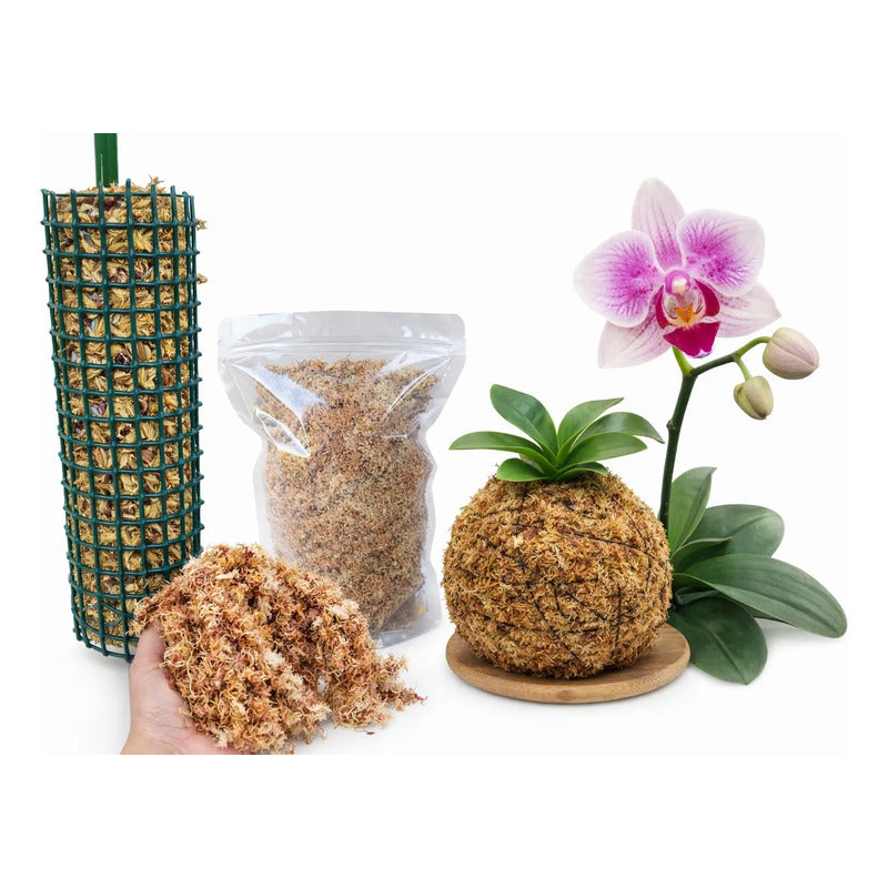 Musgo Sphagnum Certificado 3lts Orquídeas Tutores Kokedamas