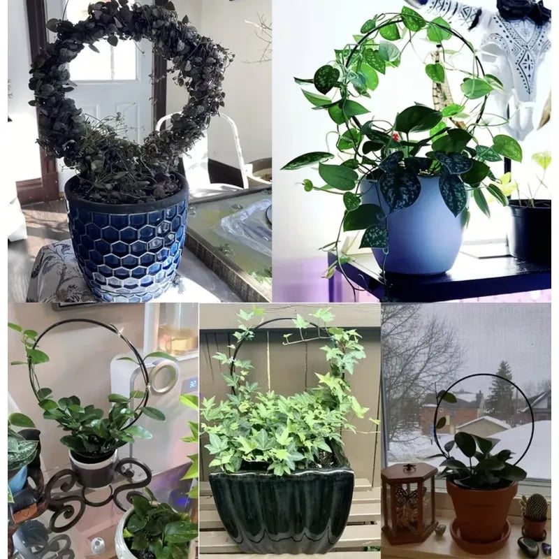 Soporte Para Plantas Forma Circular