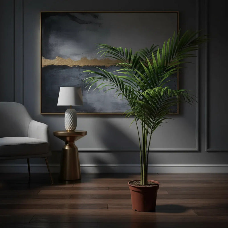 Kentia Palmera Interior Decorativa 120cm