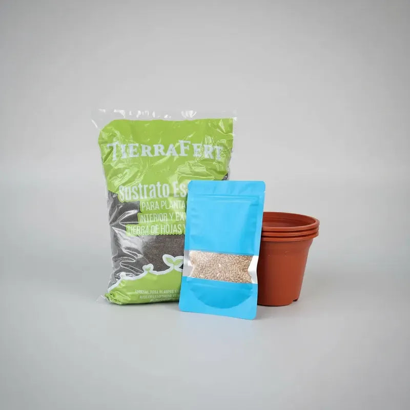 Kit Semillas Hierba Gatera/ Pasto Para Gatos