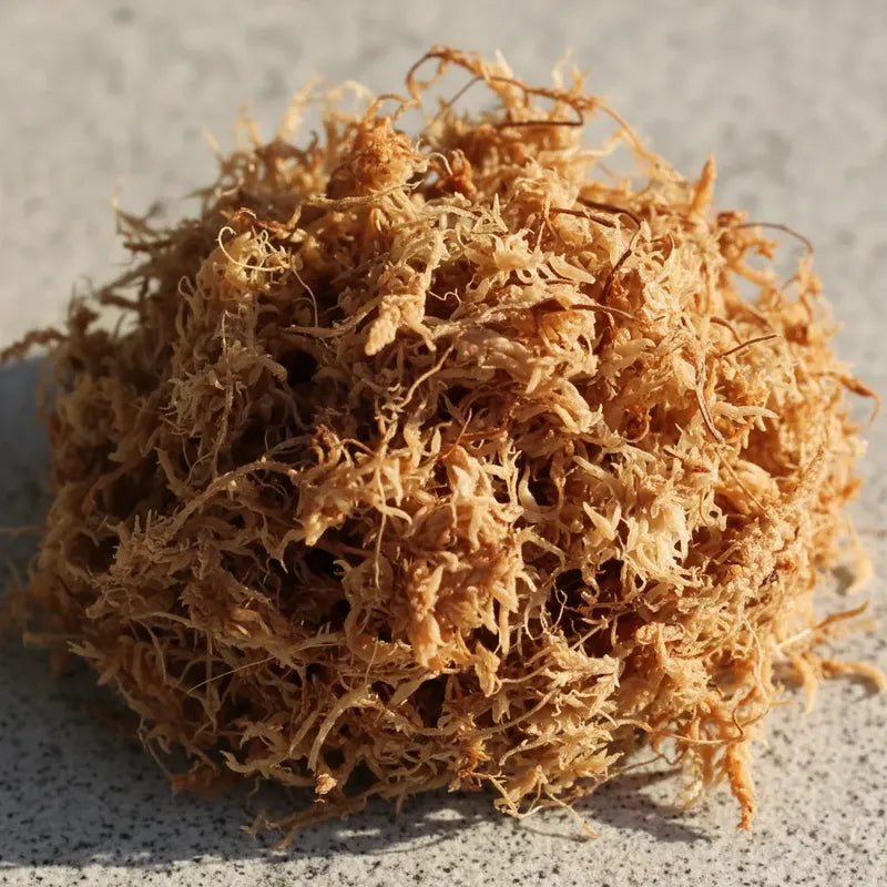 Musgo Sphagnum Certificado 3lts Orquídeas Tutores Kokedamas