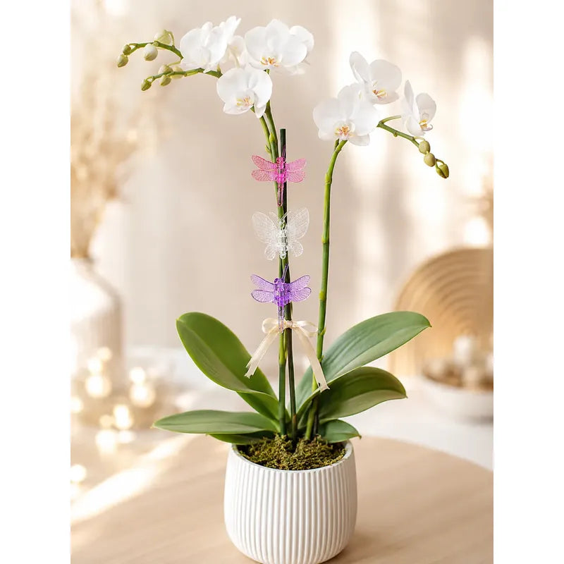 Pack 10 Clips Soporte Para Orquídeas Figuras Y Colores Azar