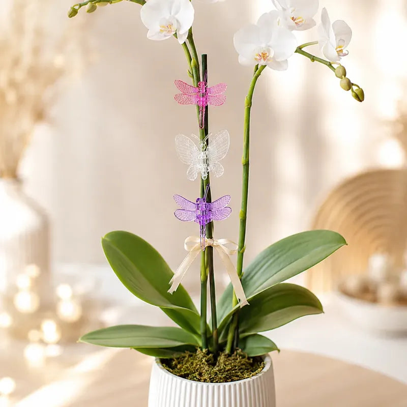 Pack 10 Clips Soporte Para Orquídeas Figuras Y Colores Azar