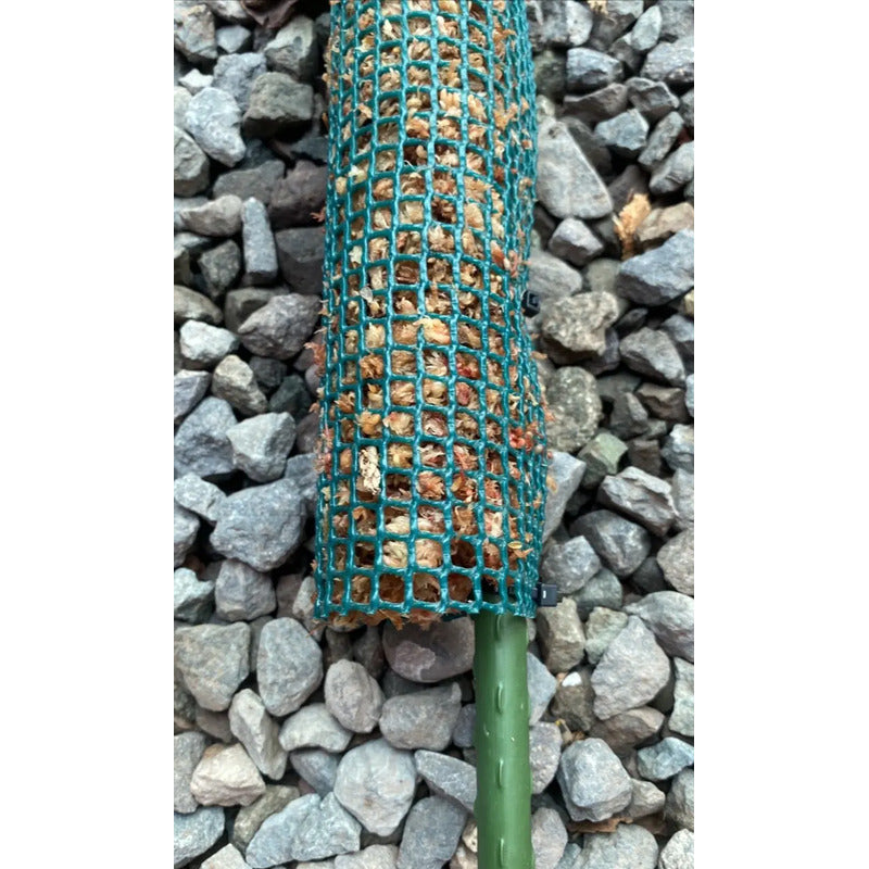 Tutor Musgo Sphagnum 70cm Con Estaca