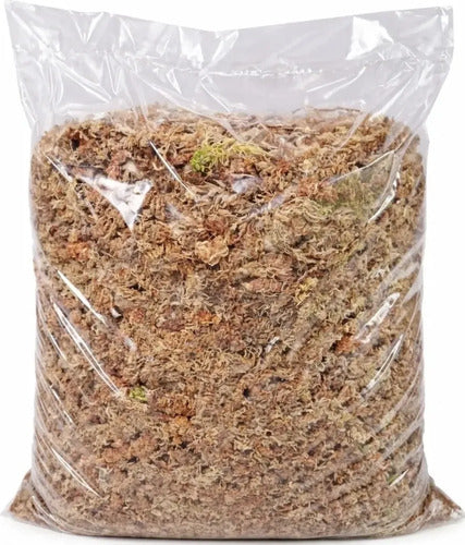 Musgo Sphagnum 20 Litros