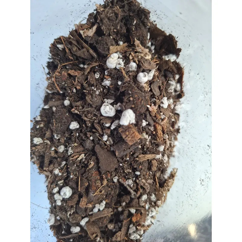 Sustrato Premium Plantas De Interior El Jardin de Lolin 3lts