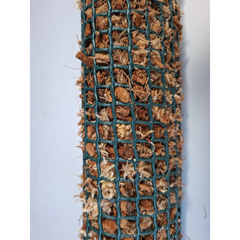 Tutor Premium De Chips De Coco Y Musgo Sphagnum 100cm