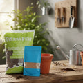 Kit Semillas Pasto de Trigo para Gatos