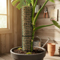 Tutor De Musgo Sphagnum 100cm Con Estaca Plantas Trepadoras
