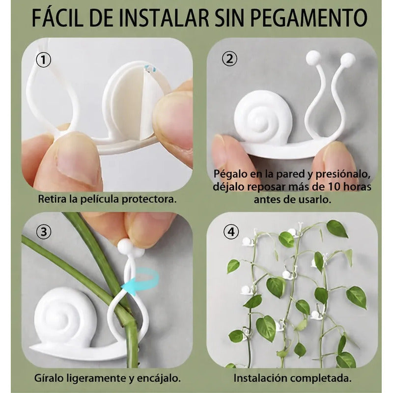 Soporte Para Plantas Forma De Caracol 10 Unidades Verde Lisa