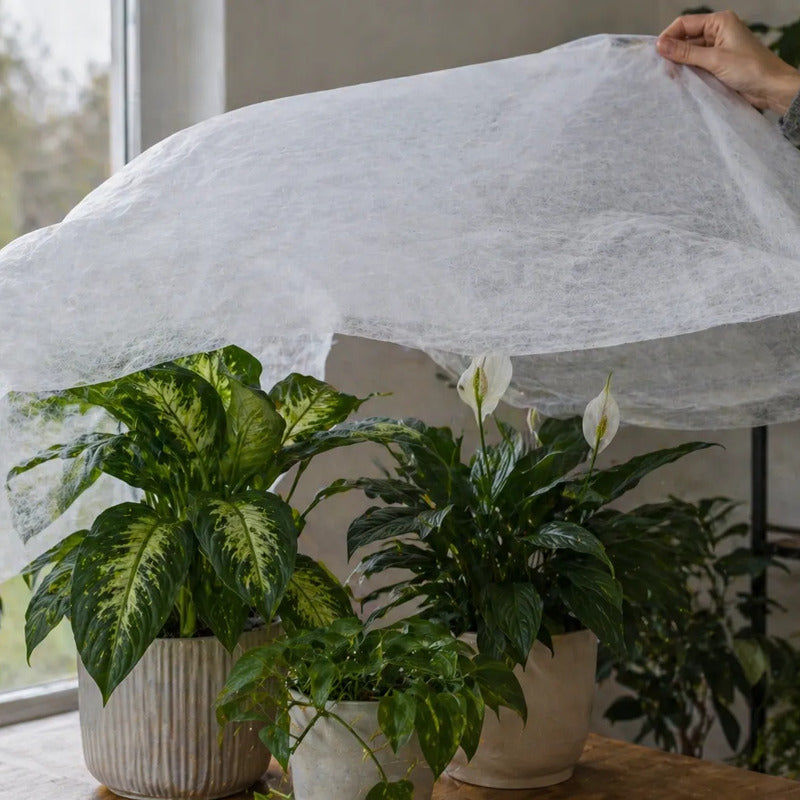 Malla/ Manta Antihelada 25grs Para Plantas De Exterior E 3x2mts