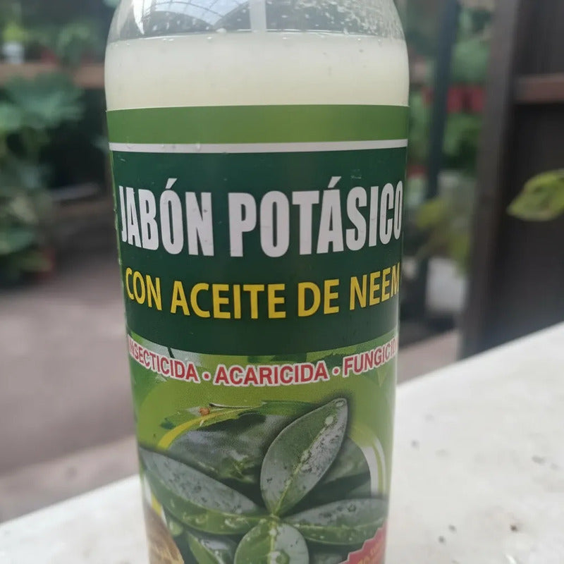 Pack Jabon Potasico 100%organico Más Recarga 1 Litro