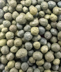 Fertilizante Basacote Plus 6m 250 Gramos Para 6 Meses