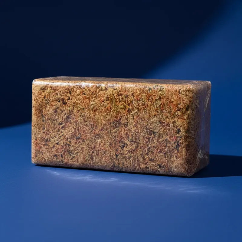 Bloque Musgo Sphagnum Premium 5 kg — Rinde hasta 180 Litros