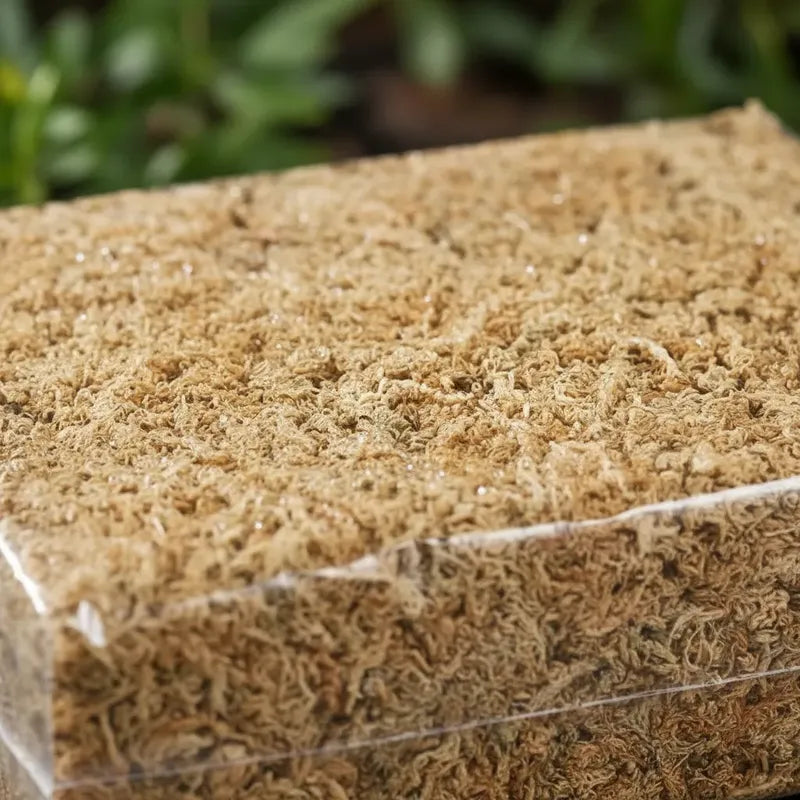 Bloque Musgo Sphagnum Deshidratado 1kg Rinde 80litros