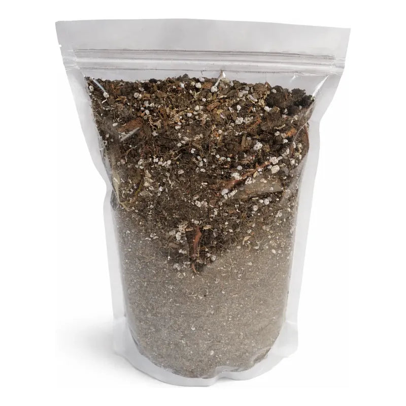 Sustrato Premium Plantas De Interior El Jardin de Lolin 3lts