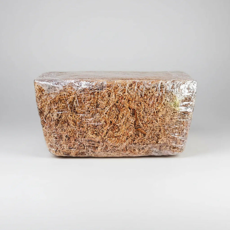 Bloque Musgo Sphagnum Rinde 12litros