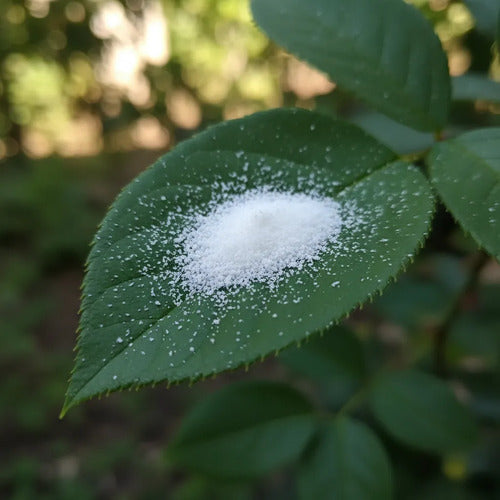 Tierra Diatomeas Fungicida Ecológico