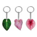 Set De 3 Llaveros De Plantas Plant Lovers Para Regalo