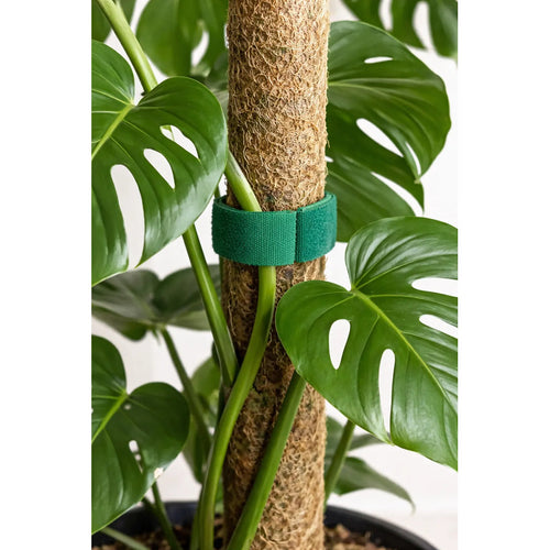 Artículo Para Jardín Velcro Para Plantas 2 U