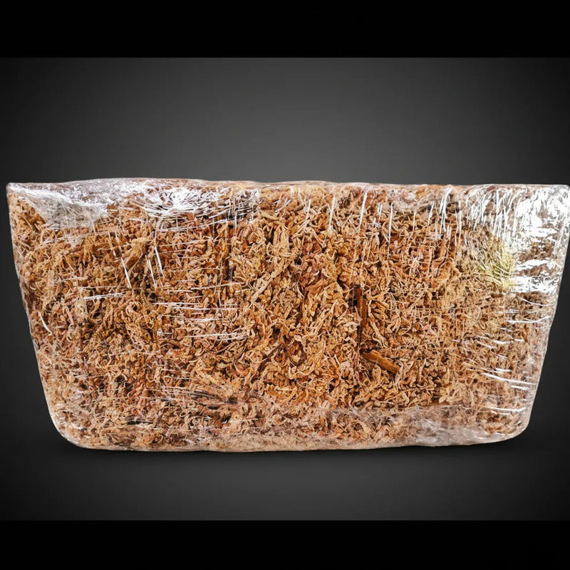 Bloque Musgo Sphagnum Rinde 12litros