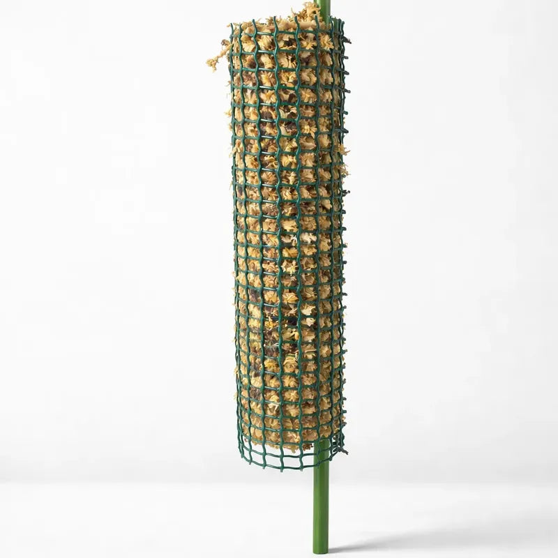 Tutor Musgo Sphagnum 50cm Con Estaca Para Plantas Trepadoras