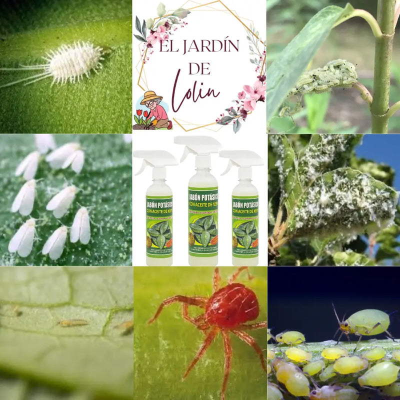 Jabón Potásico Con Aceite De Neem Fungicida Natural 500cc