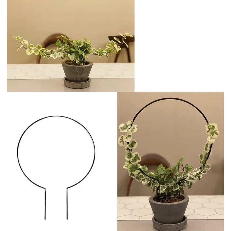 Soporte Para Plantas Forma Circular