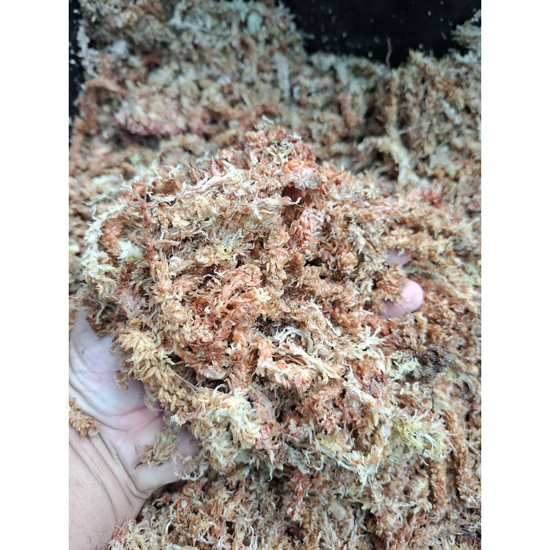 Bloque Musgo Sphagnum 500grs Rinde 40 Litros