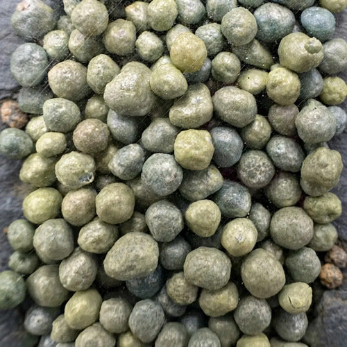Fertilizante Basacote Plus 6m 250 Gramos Para 6 Meses