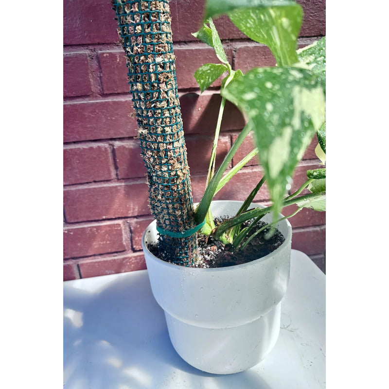 Artículo Para Jardín Velcro Para Plantas 2 U