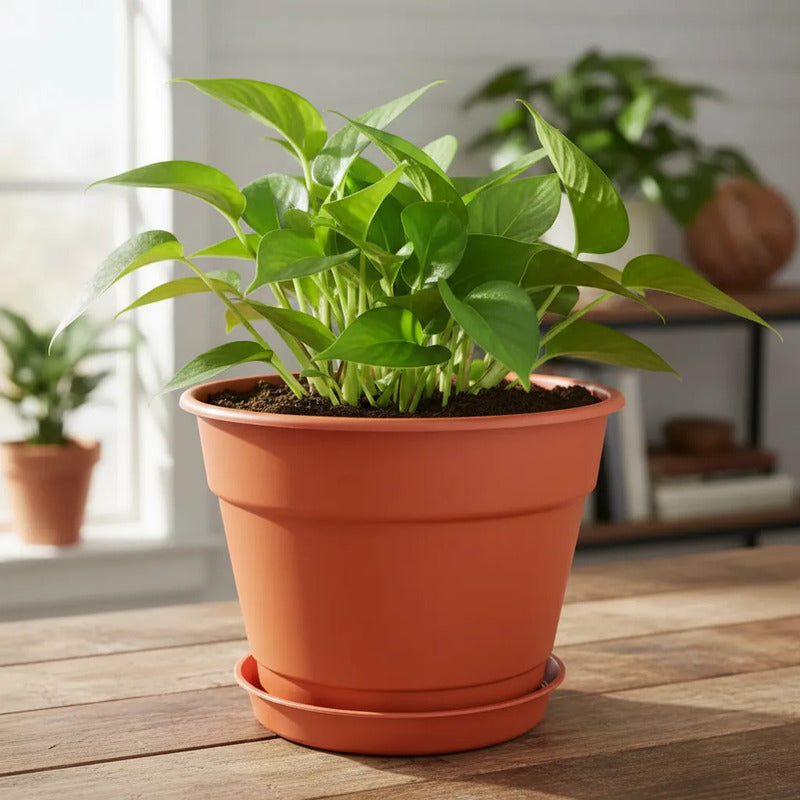 Macetero Plastico 25 Cm Con Plato Incluido Terracota Liso 25