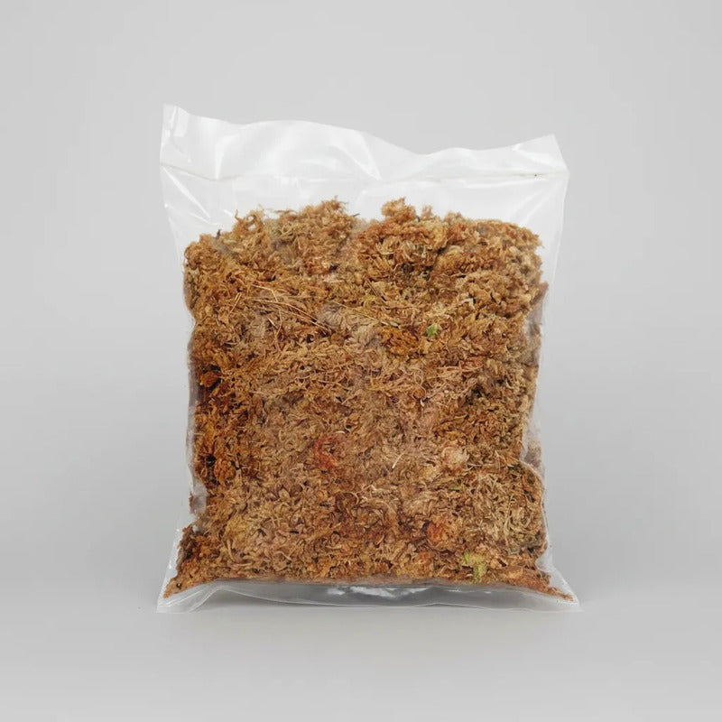 Musgo Sphagnum Certificado 3lts Orquídeas Tutores Kokedamas