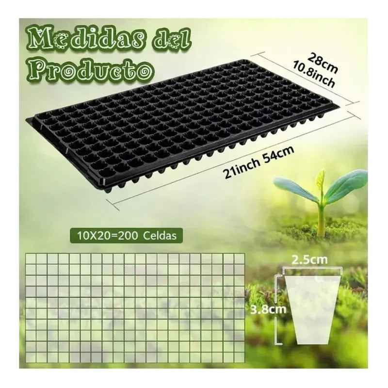 1 Almaciguera 200 Cavidades