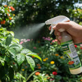 Jabon Potasico Con Aceite De Neem 250cc Con Aspersor
