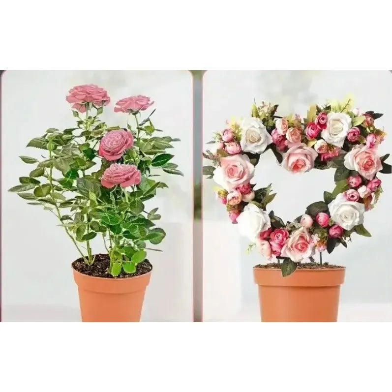 Soporte Para Plantas Forma De Corazón 1 Unidad - Gris - Corazón